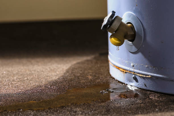 Best Water damage restoration near me  in Boston, GA