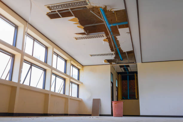 Best Basement water damage restoration  in Boston, GA