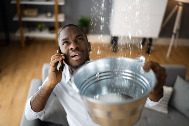 Best Fire Damage Restoration  in Boston, GA