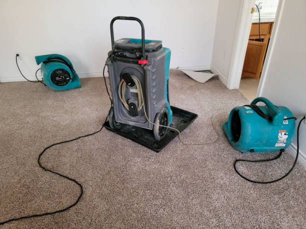 Best Ceiling water damage repair  in Boston, GA