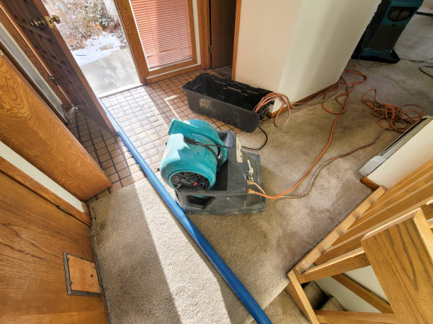 Best Water damage contractors near me  in Boston, GA