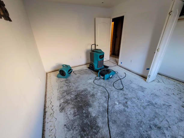 Best Local water damage restoration  in Boston, GA