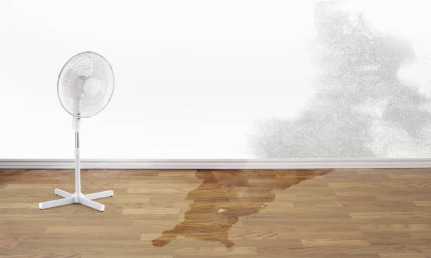 Best Flood restoration services  in Boston, GA