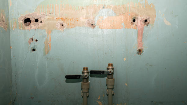 Best Emergency water damage restoration  in Boston, GA