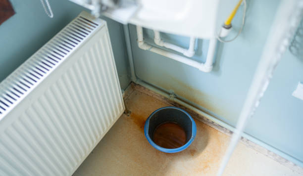 Best Carpet water damage restoration  in Boston, GA