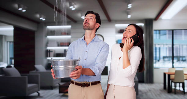Best Flooded house restoration  in Boston, GA