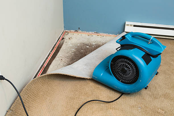 Best Water damage cleanup near me  in Boston, GA